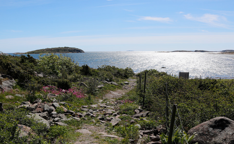 Fulltegnet juniorleir