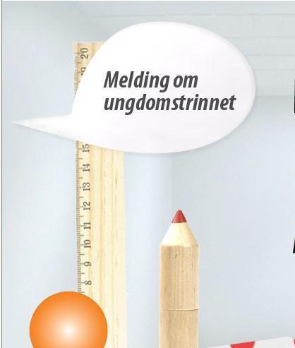 Bridge ikke et av valgfagene fra 2013