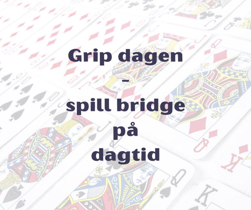 Dagbridge på nett og flere lokasjoner rundt om i landet!