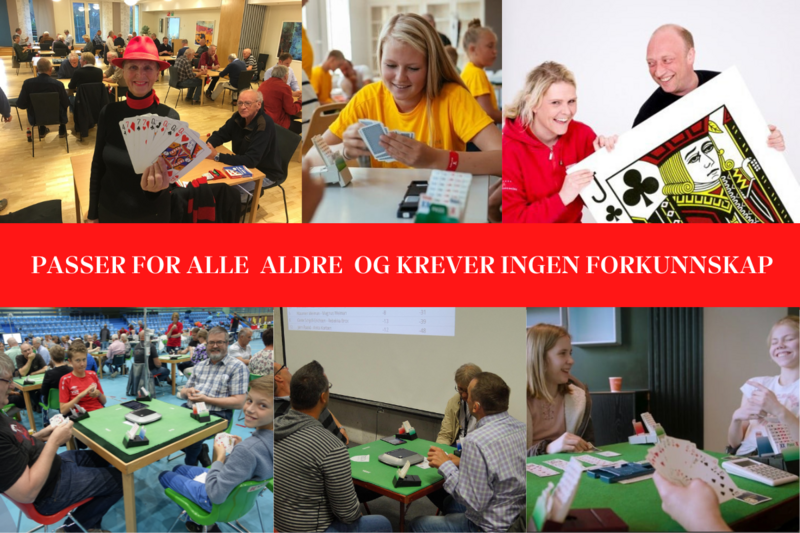 Gratis nybegynnerkurs online