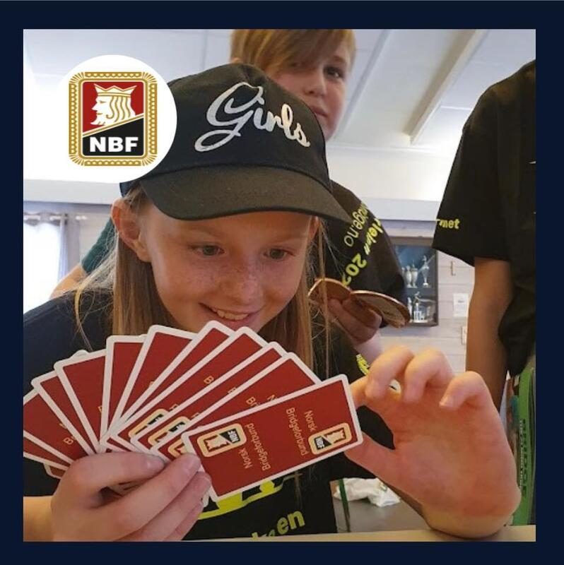 Søker regionsledere Norsk Skolebridge