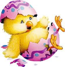 White House Junior Internationals 2016